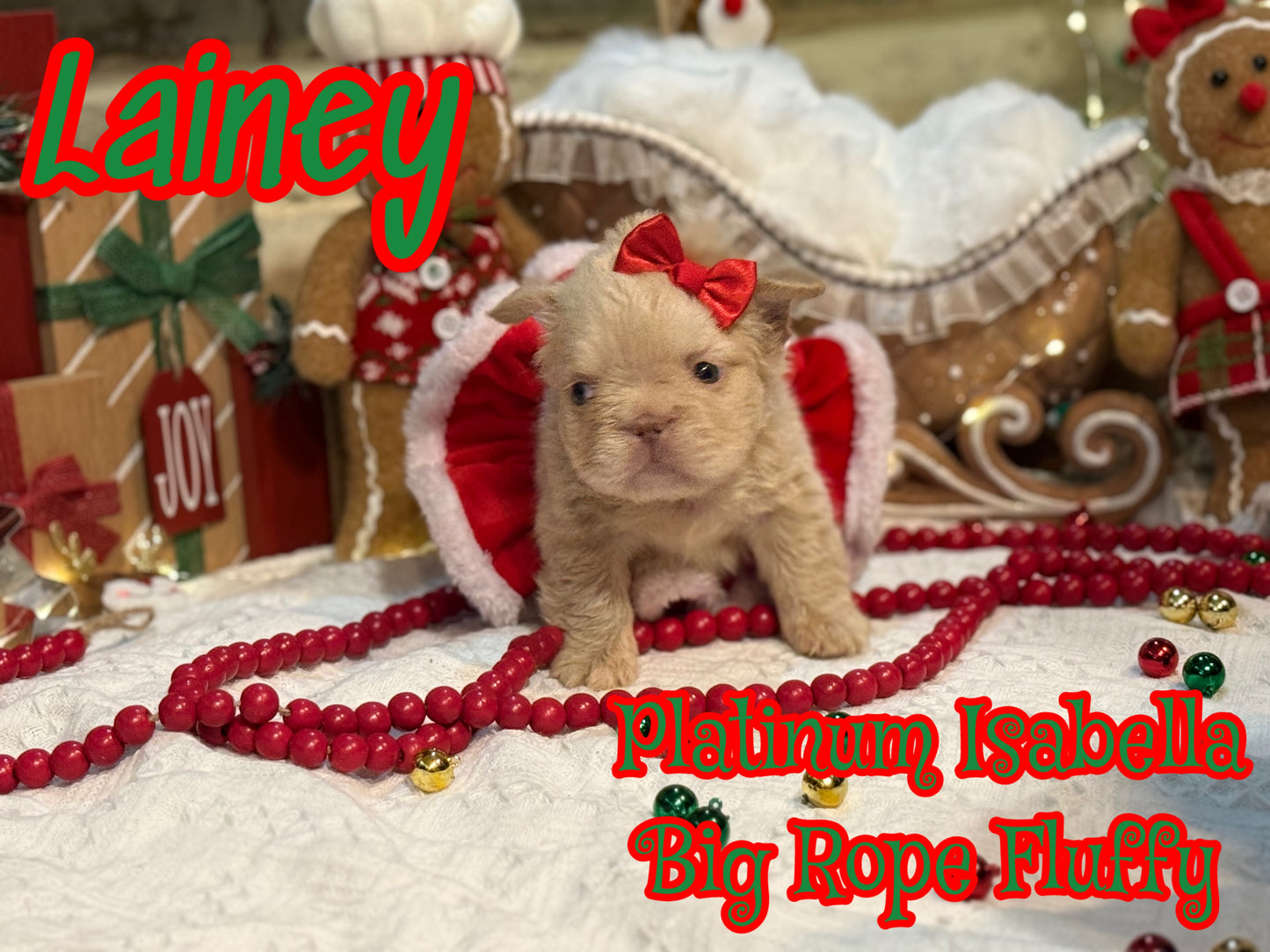 Lainey- Platinum Isabella Big Rope Fluffy