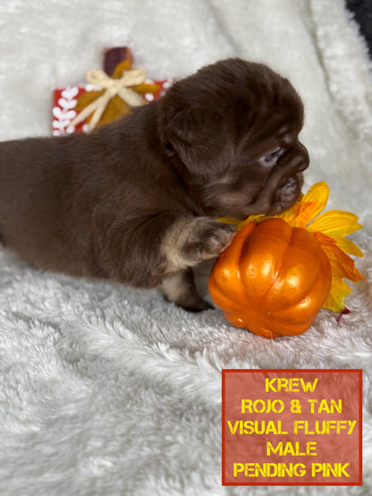 Krew - Rojo & Tan Fluffy Big Rope Pending Pink