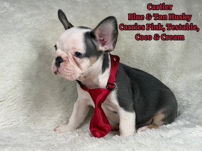 Cartier