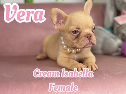Vera - Isabella Cream