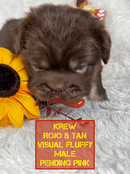 Krew - Rojo & Tan Fluffy Big Rope Pending Pink