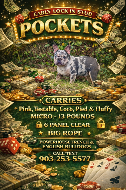 Pockets - Micro Merle Big Rope - Carries Pink & Fluffy 13 Pounds - EARLY INTRO $750
