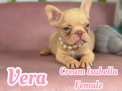 Vera - Isabella Cream