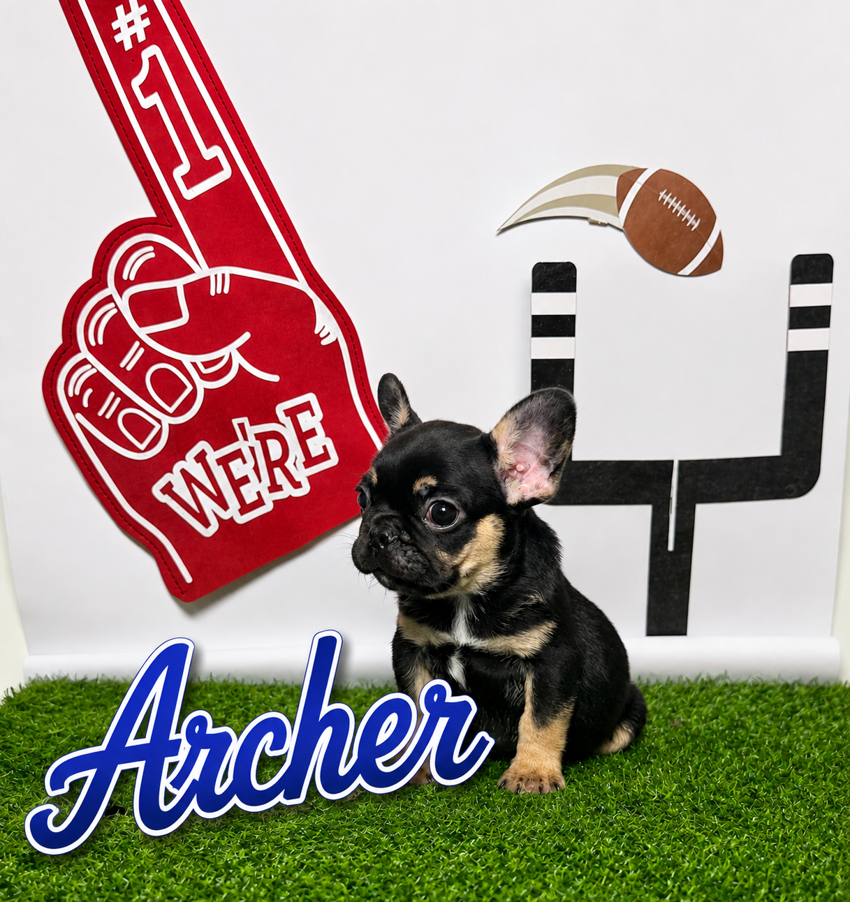 Archer