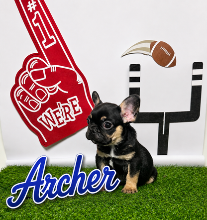 Archer