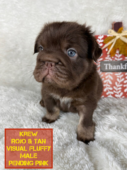 Krew - Rojo & Tan Fluffy Big Rope Pending Pink