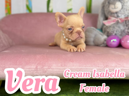 Vera - Isabella Cream