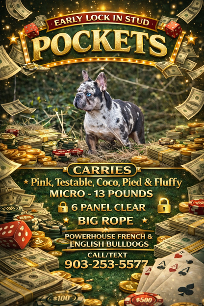 Pockets - Micro Merle Big Rope - Carries Pink & Fluffy 13 Pounds - EARLY INTRO $750