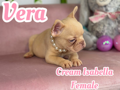 Vera - Isabella Cream