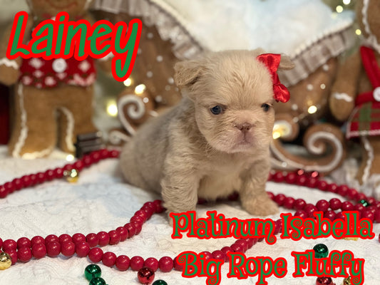 Lainey- Platinum Isabella Big Rope Fluffy