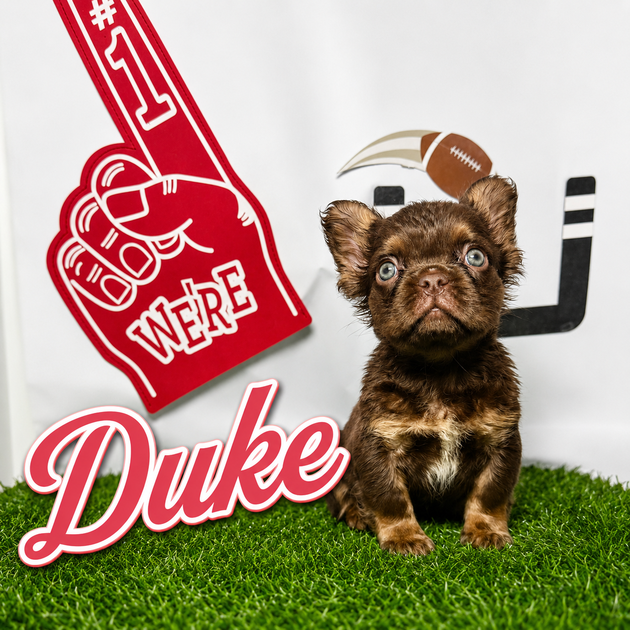Duke