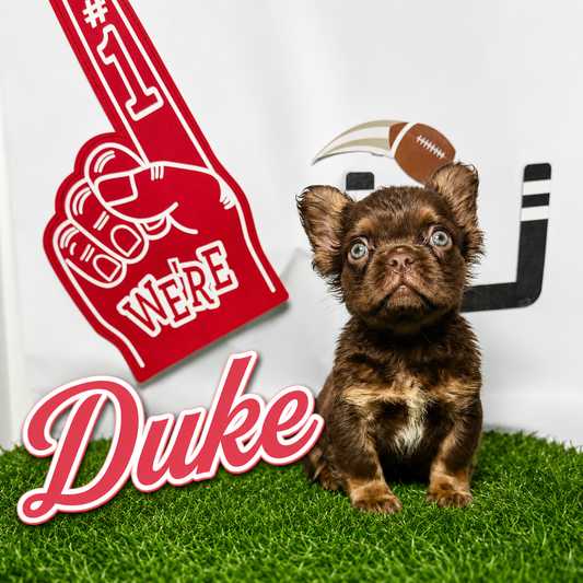 Duke