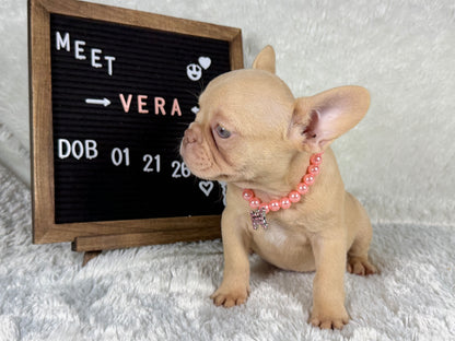 Vera - Isabella Cream