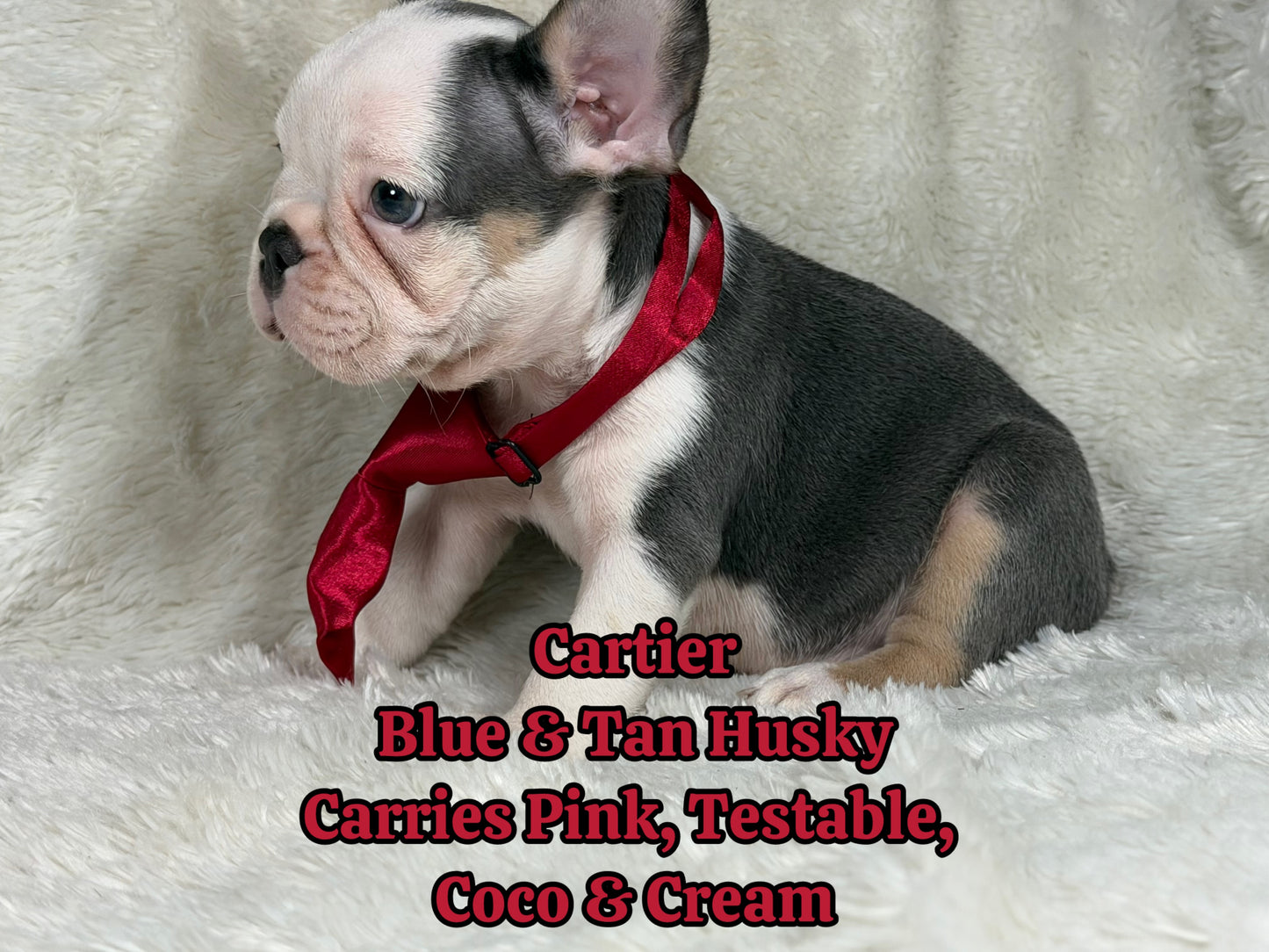 Cartier
