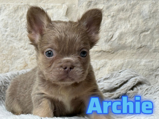 Archie