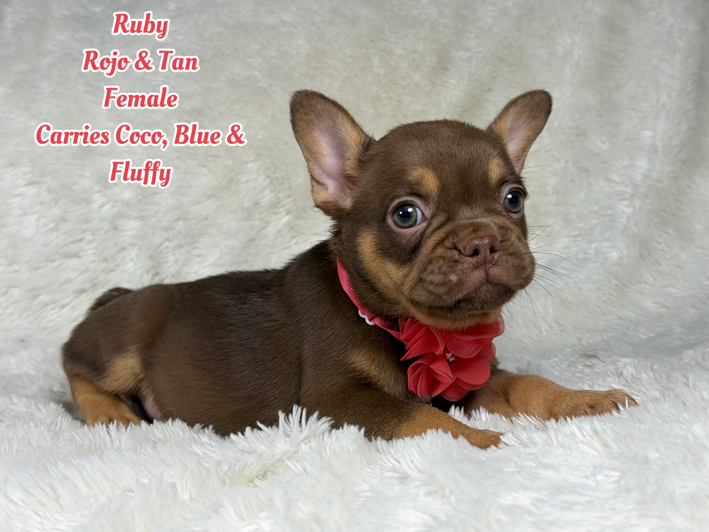 Ruby