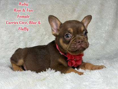 Ruby