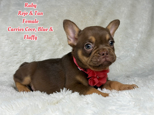 Ruby