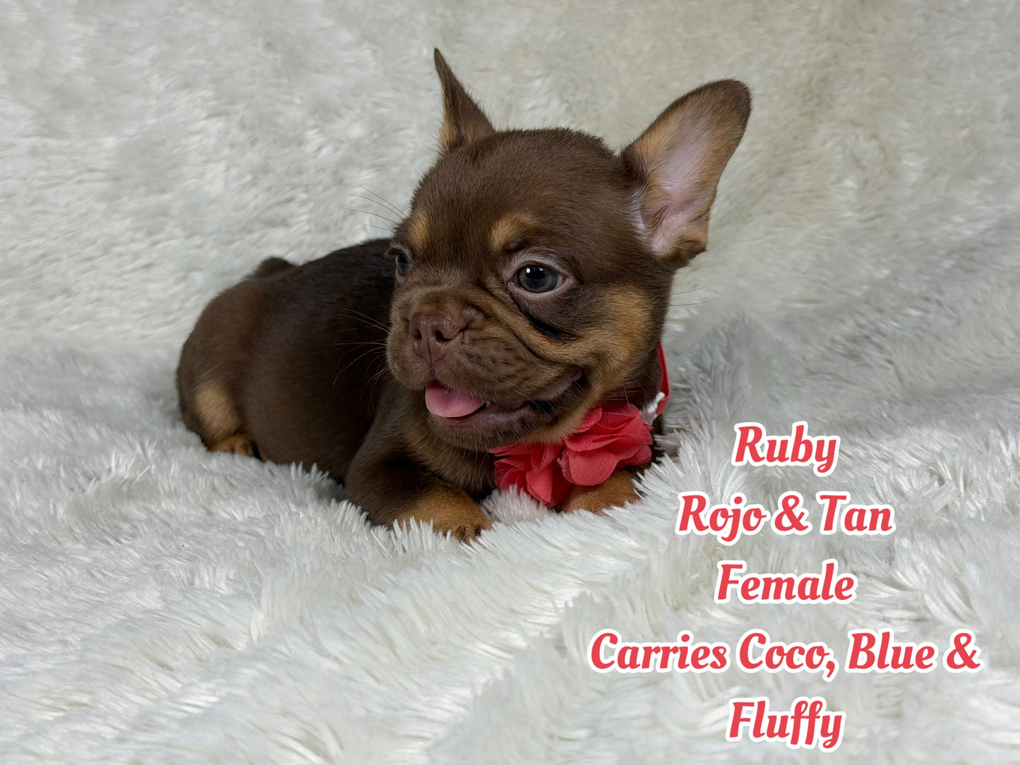 Ruby