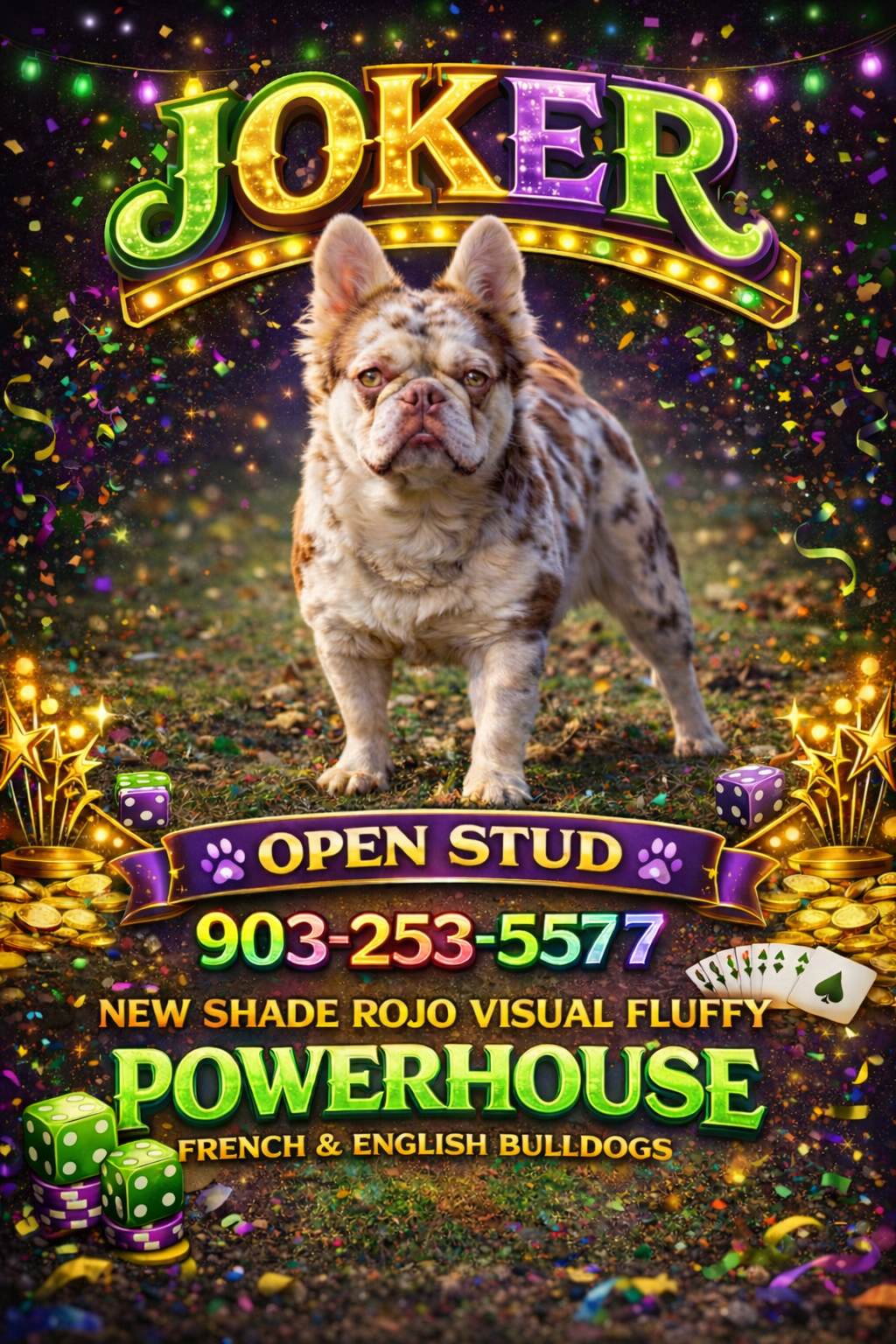 Joker - New Shade Rojo Merle Fluffy