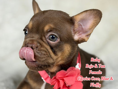 Ruby