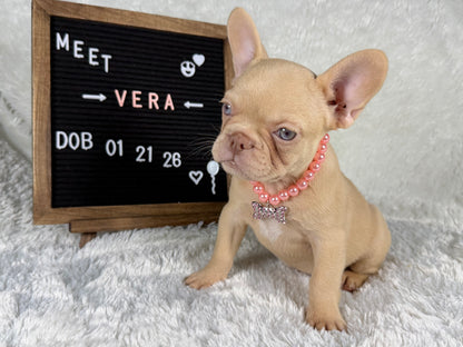 Vera - Isabella Cream