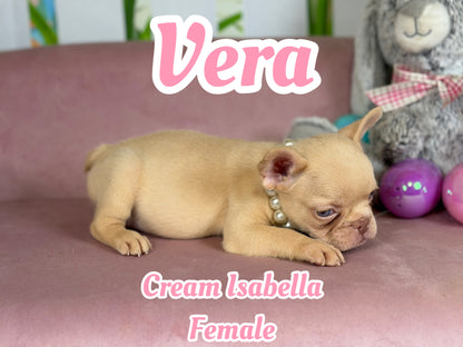 Vera - Isabella Cream