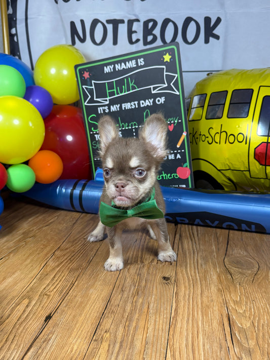 Hulk