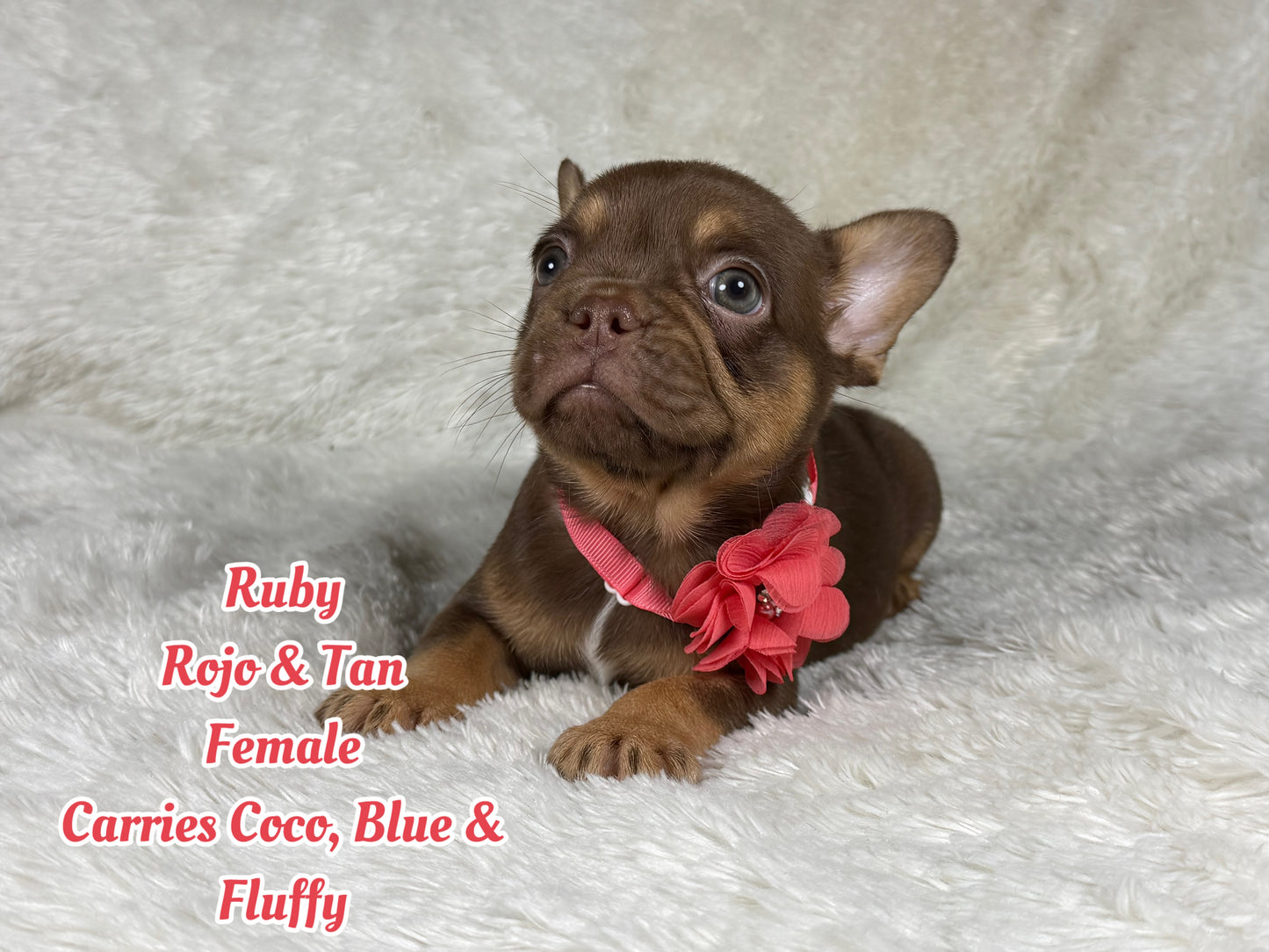 Ruby