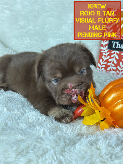 Krew - Rojo & Tan Fluffy Big Rope Pending Pink