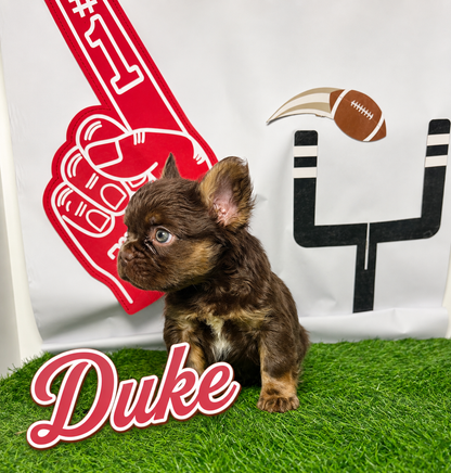 Duke