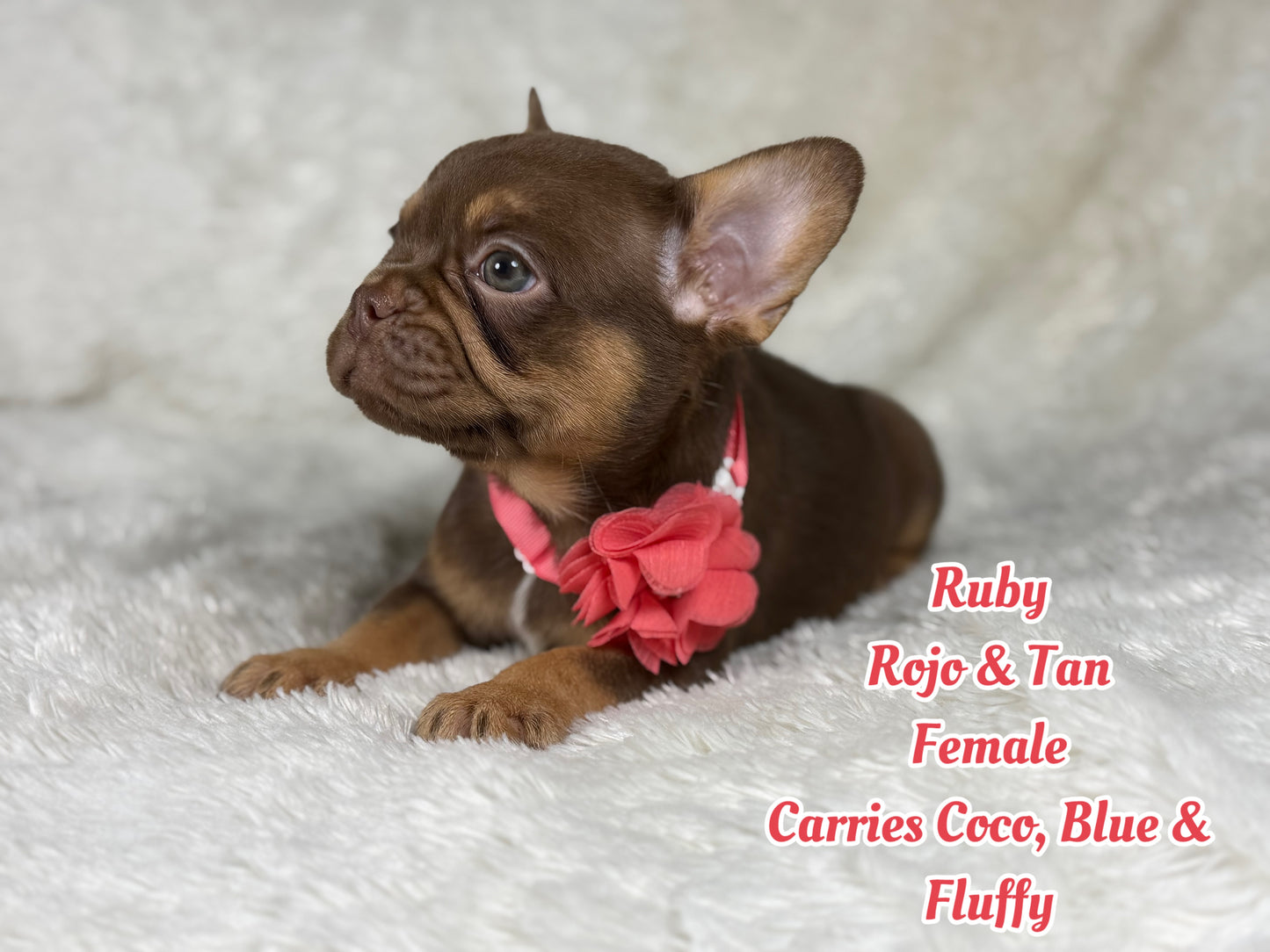 Ruby