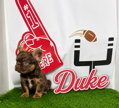 Duke
