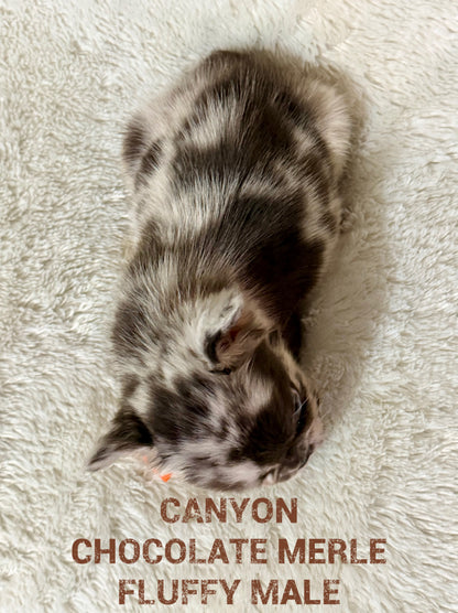 Canyon