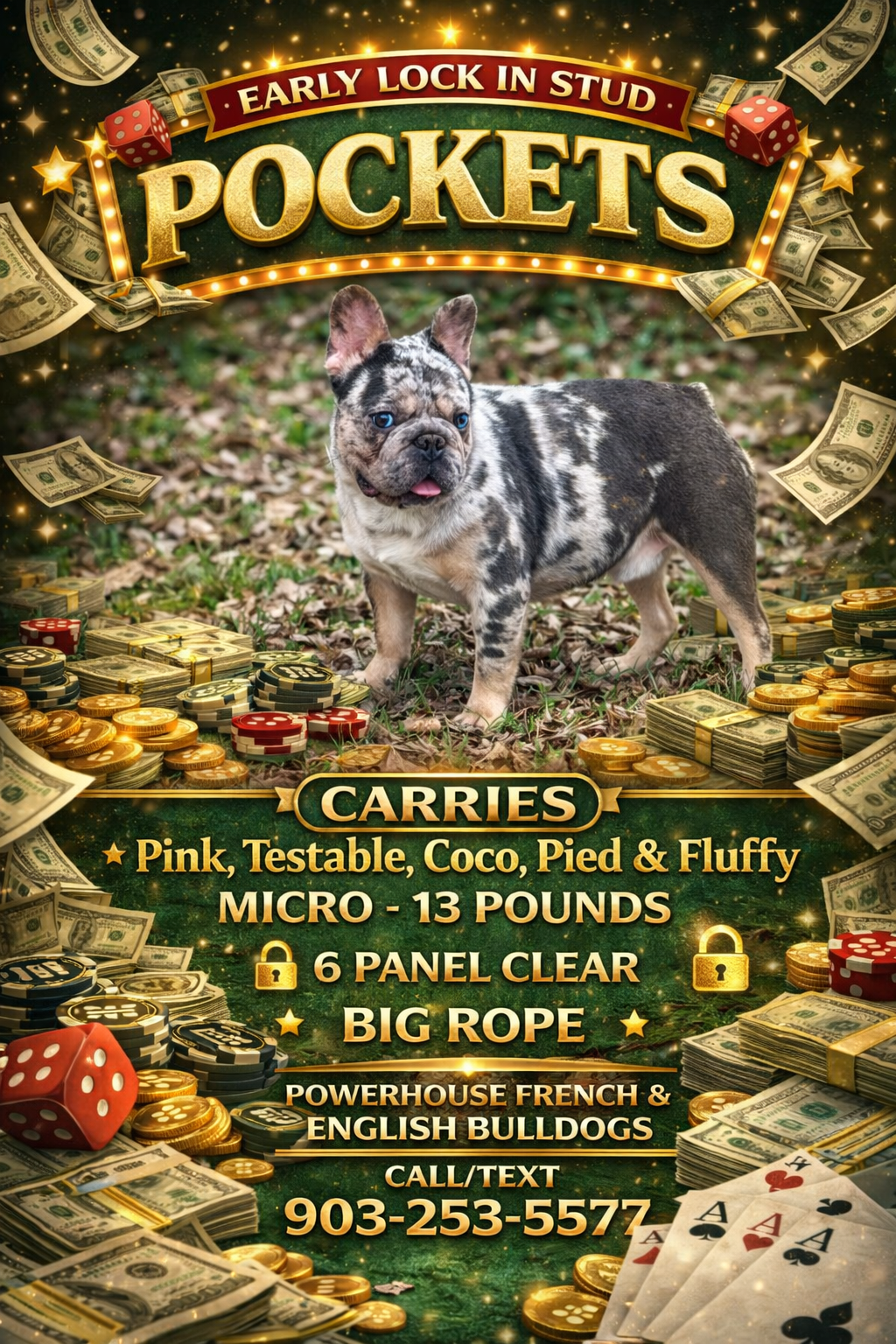 Pockets - Micro Merle Big Rope - Carries Pink & Fluffy 13 Pounds - EARLY INTRO $750