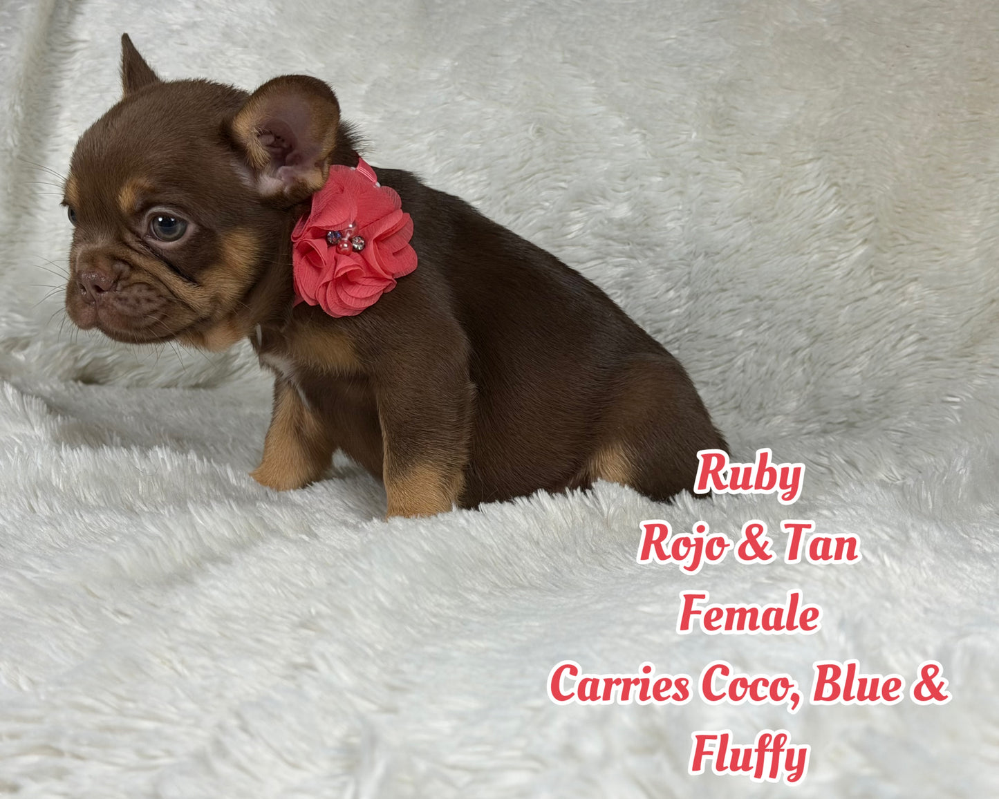 Ruby