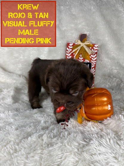 Krew - Rojo & Tan Fluffy Big Rope Pending Pink