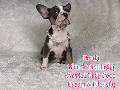 Prada