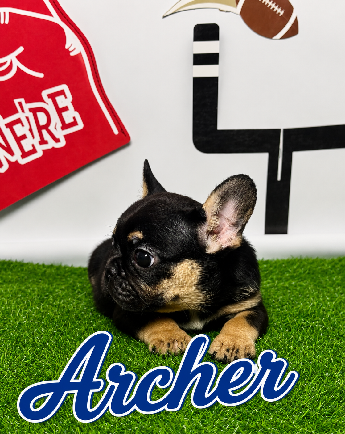 Archer
