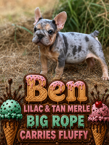 Ben