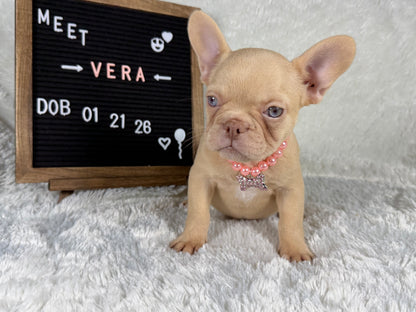 Vera - Isabella Cream