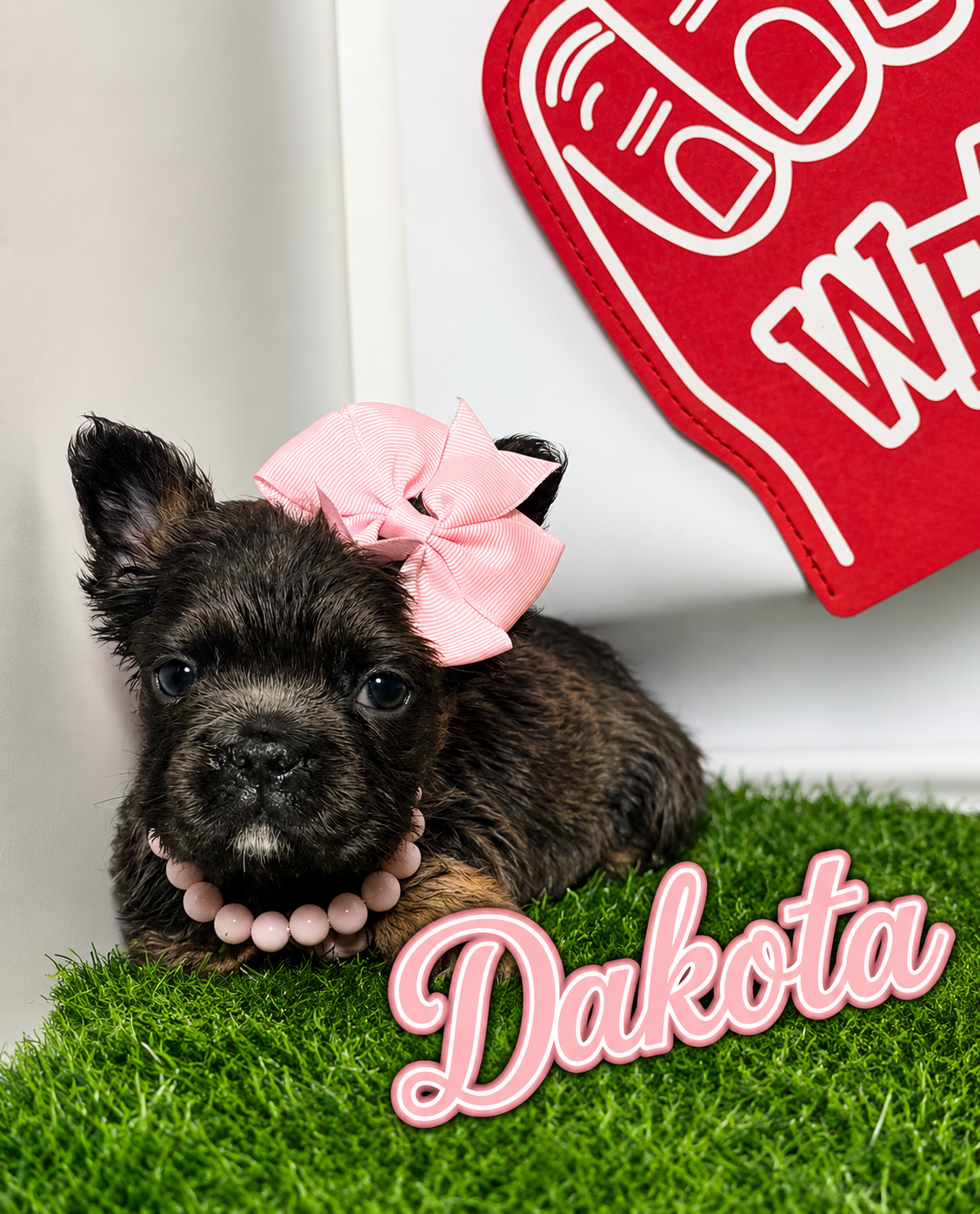 Dakota