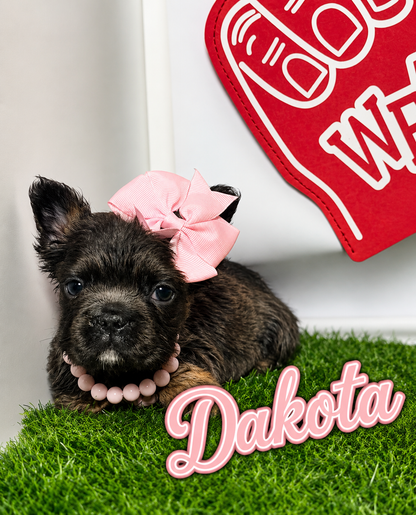 Dakota