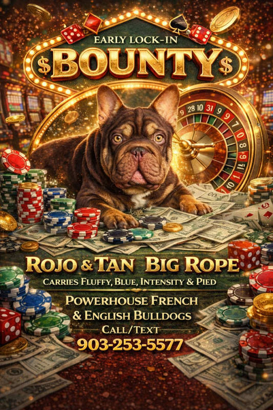 Bounty - Rojo & Tan Big Rope Carries Fluffy EARLY INTRO $750