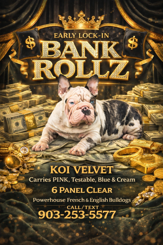 Bank Rollz - Koi Velvet Big Rope Carries Pink EARLY INTRO $1500