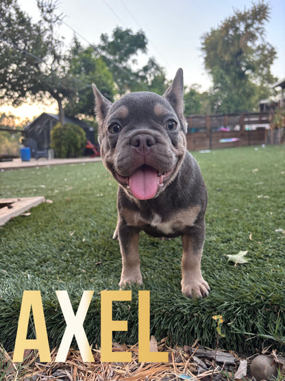 Axel