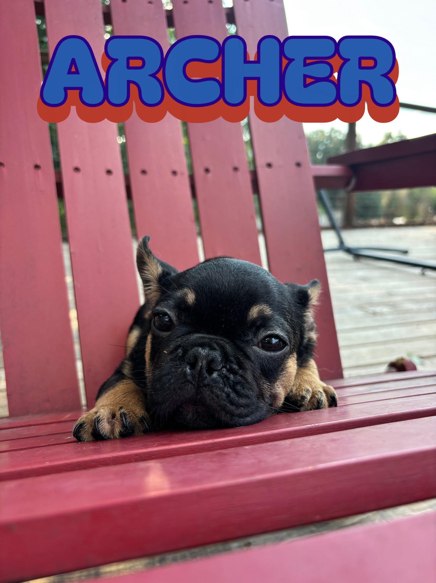 Archer