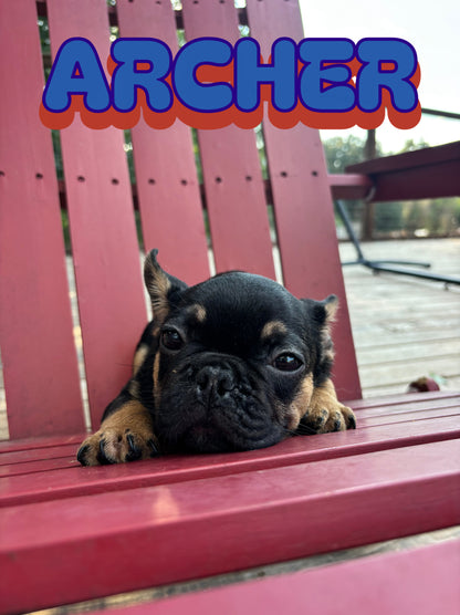 Archer