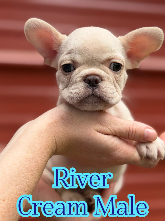 River
