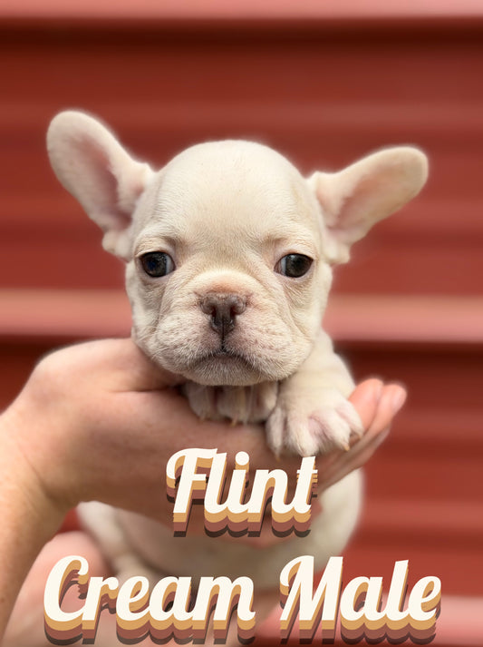 Flint